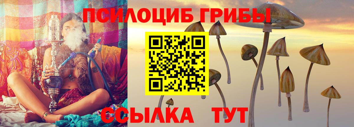 Советск  Псилоцибиновые грибы Magic Shrooms  купить закладку  Вход с VPN  Псилоцибиновые грибы MAGIC MUSHROOMS 